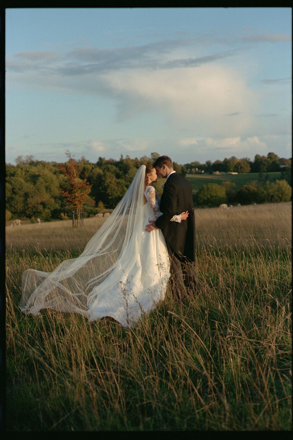 A couple embraces in a sunlit field with a flowing wedding veil caught in the breeze.