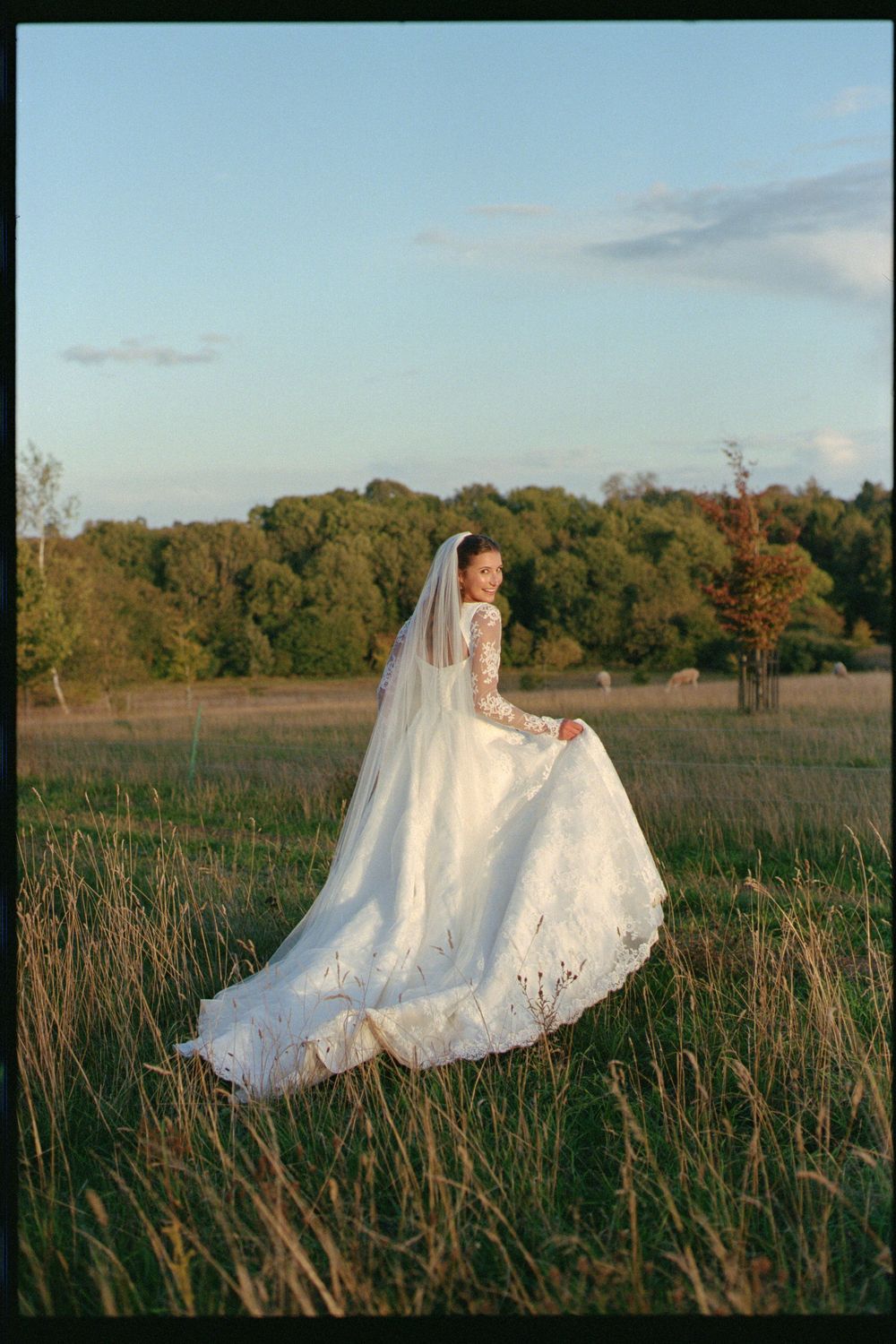 A bride in a flowing white lace gown stands gracefully in a golden field during sunset.