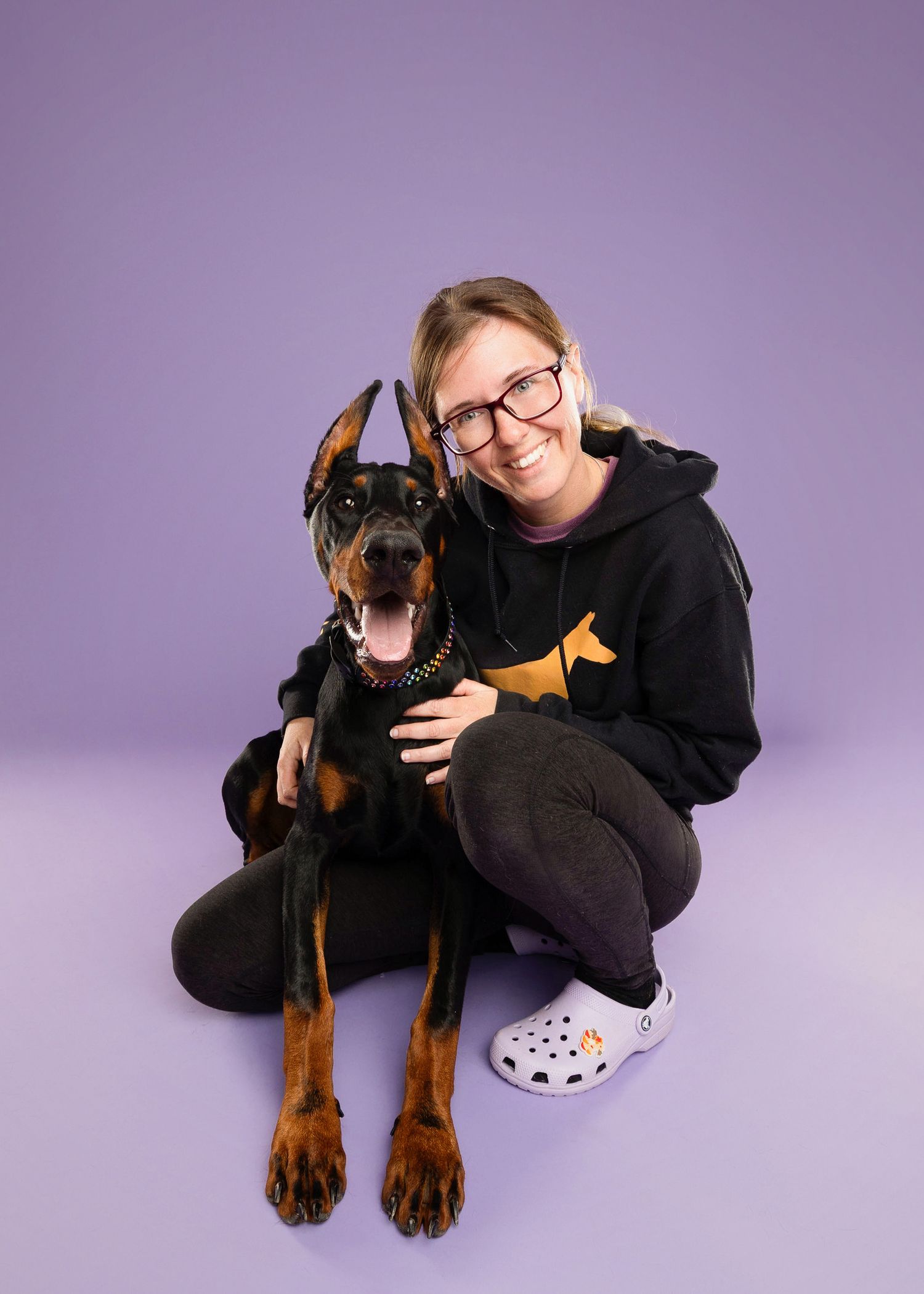 Doberman dog posing playfully on purple studio background with companion.