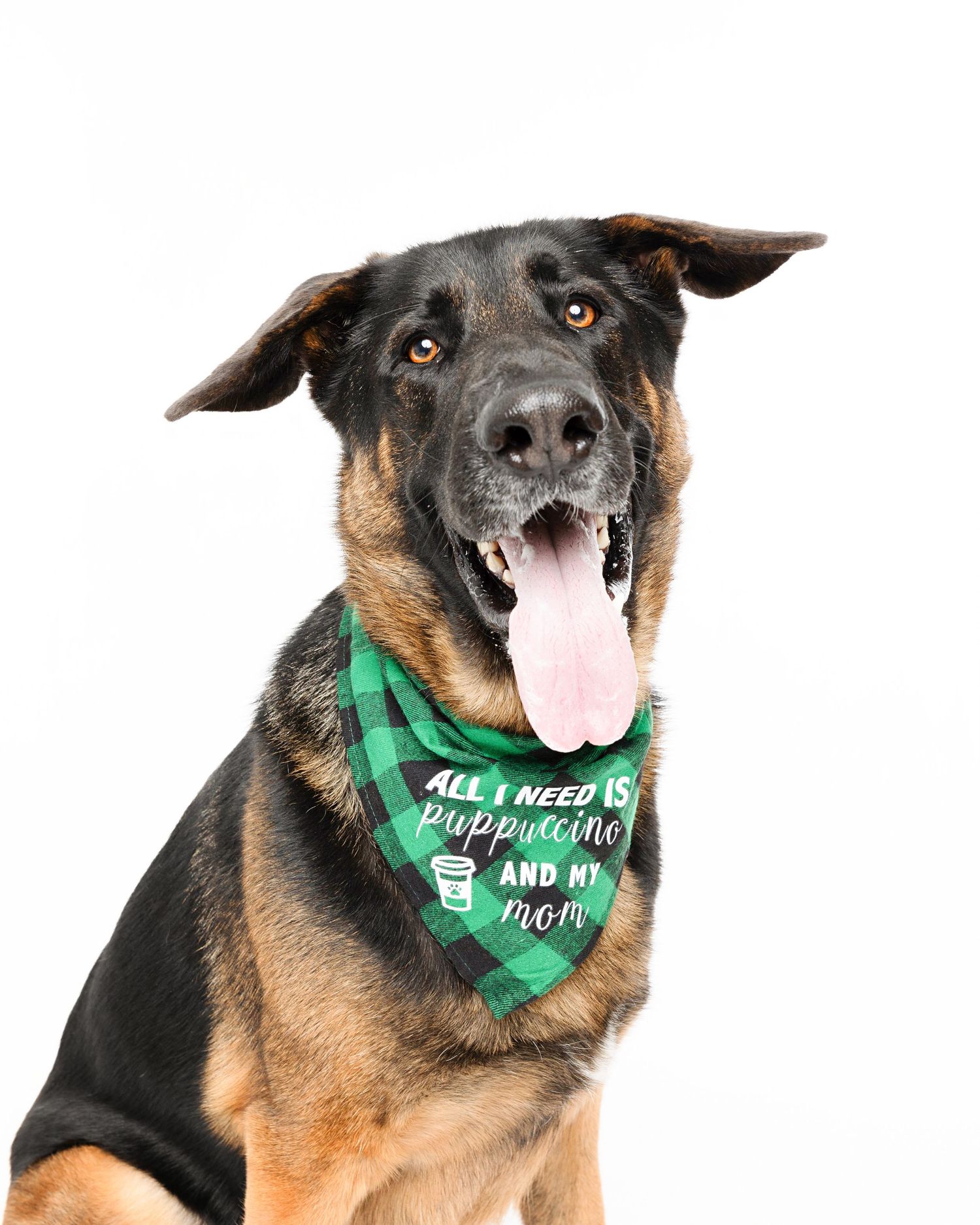 German Shepherd dog wearing a green bandana with text against a white background.