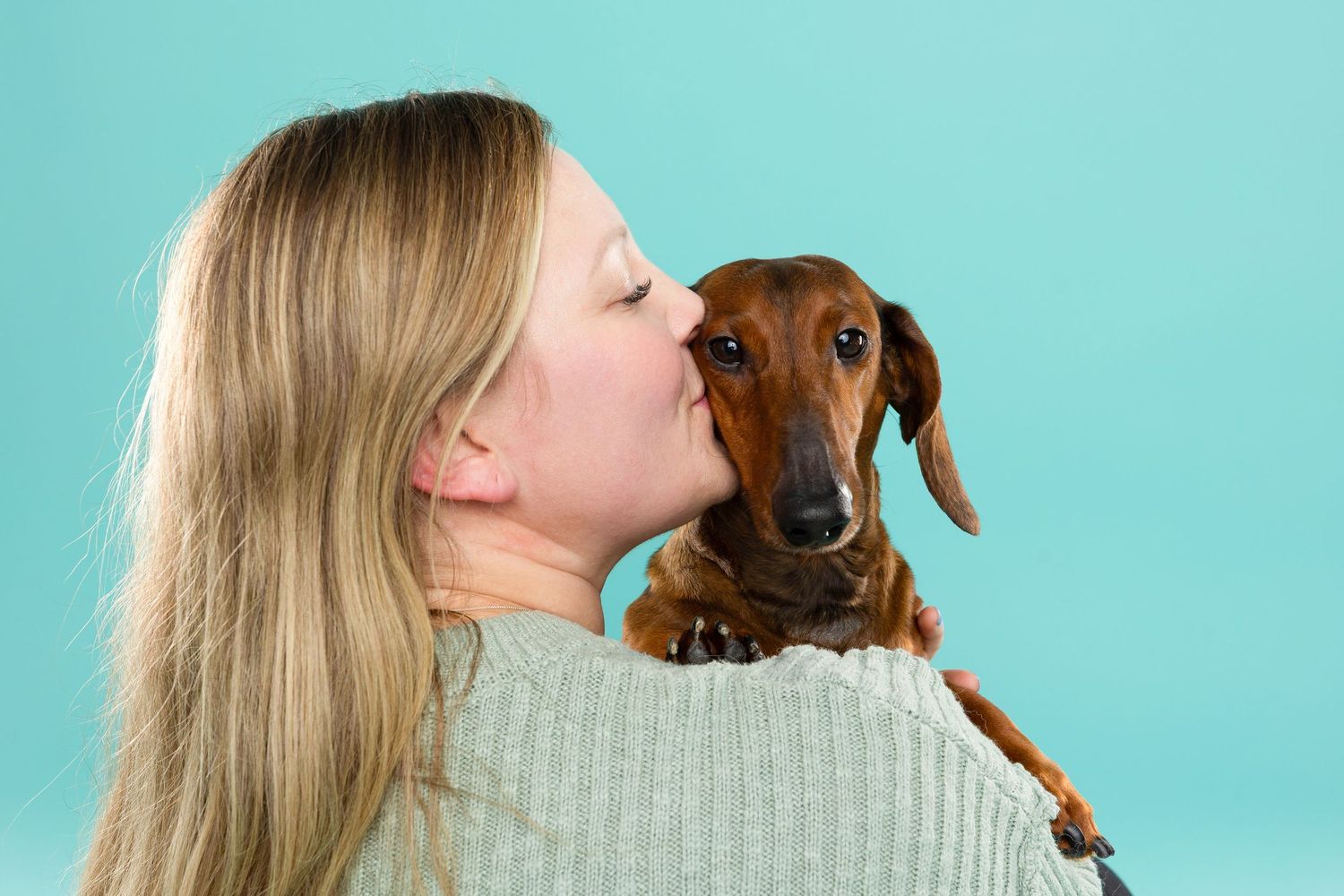 Close-up sequence showing affectionate interaction between person and dachshund puppy against turquoise backdrop.