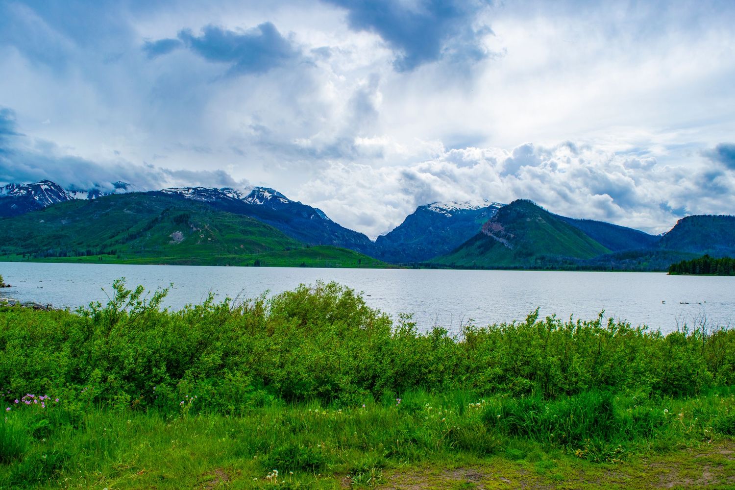 Scenic fjord landscape with green shoreline and mountains under cloudy skies.