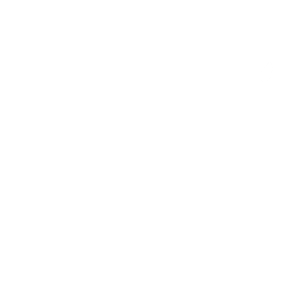 A white divider line graphic element used for web design separation.