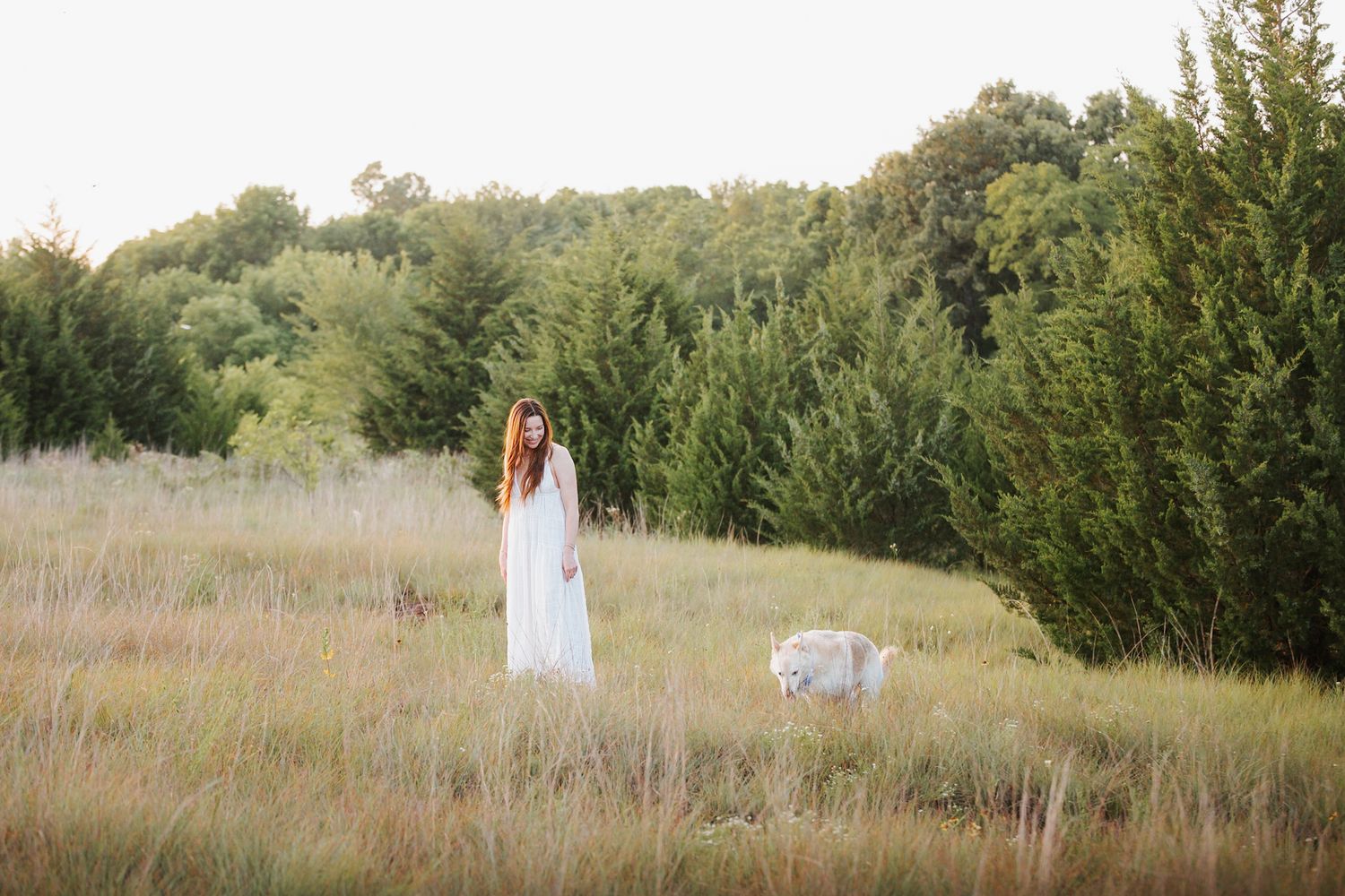Oklahoma dog photographer