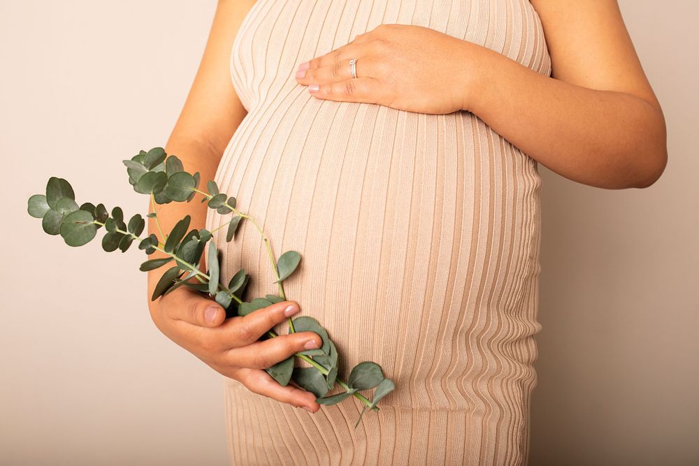 Maternity photos with eucalyptus leaves against a neutral background.