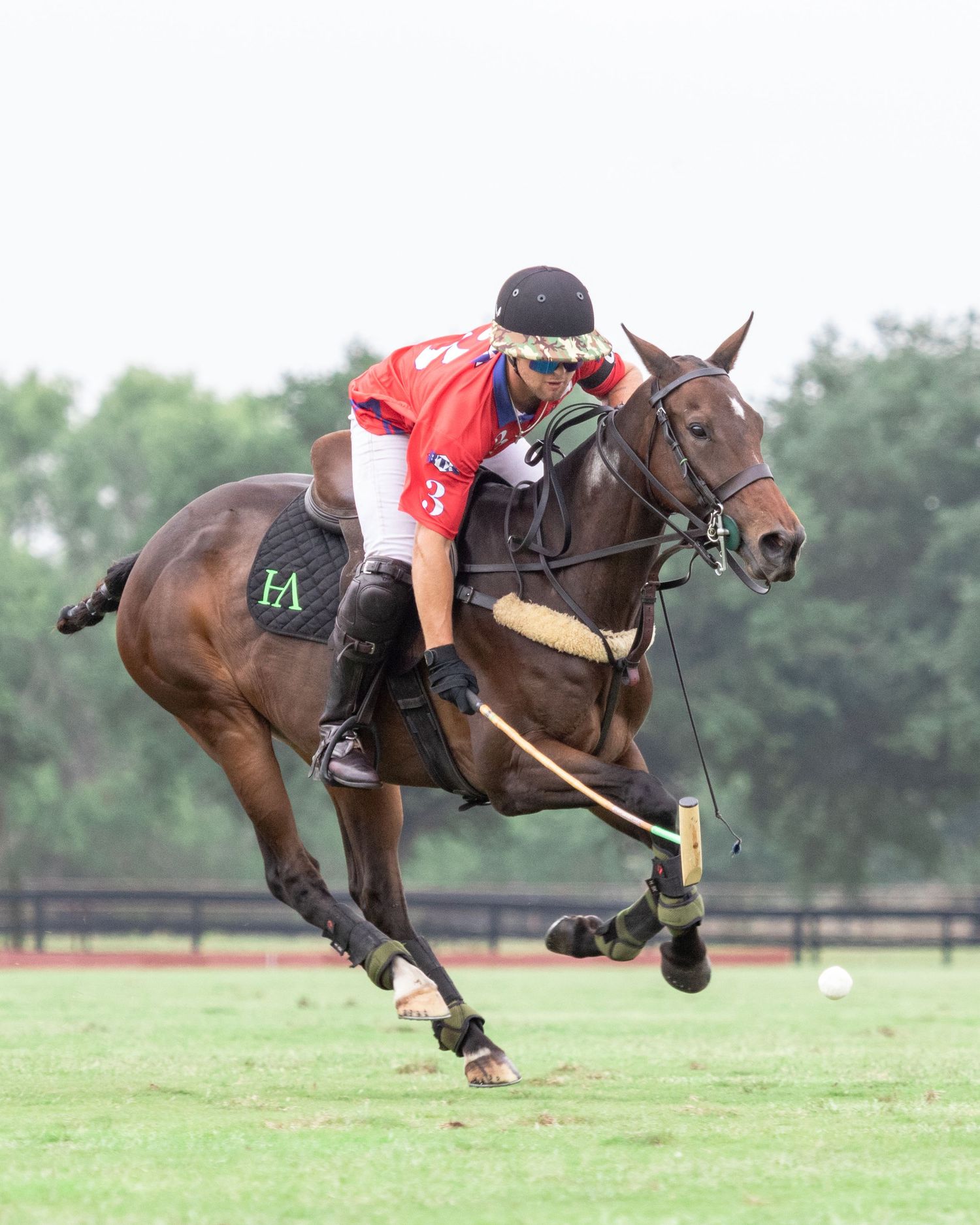 Polo