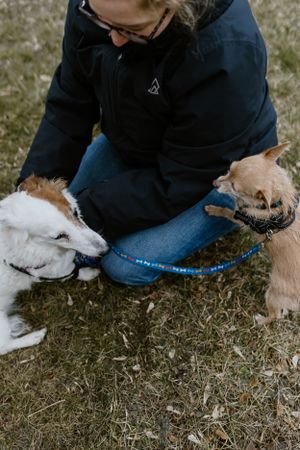 Trenton Ontario Family Photos - Charlotte Buckle Photography