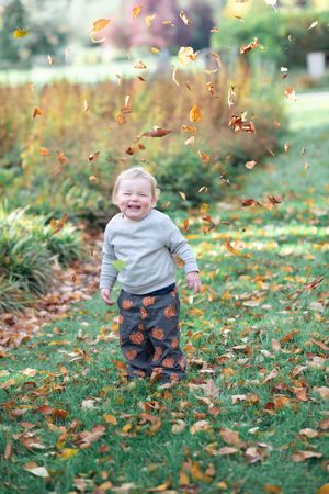 A toddler plays with leaves whilst laughing in a Valley gardens Harrogate.