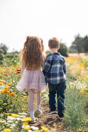 A brother and sister walking through a flower field, photo taken from the back