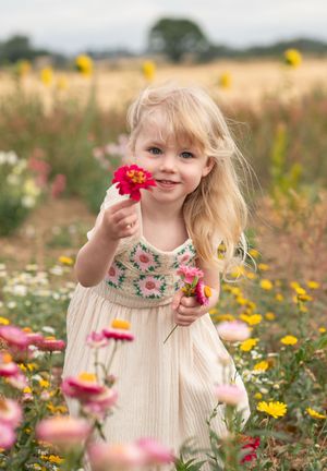 A young child picking flowers in a flower field