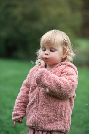 A young girl blowing a dandilion