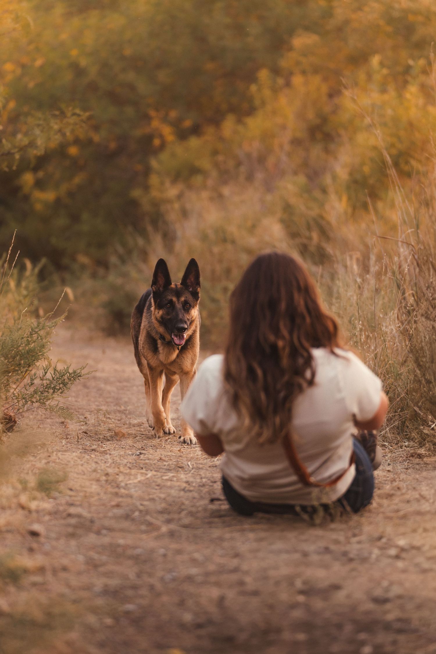 Oklahoma dog photographer