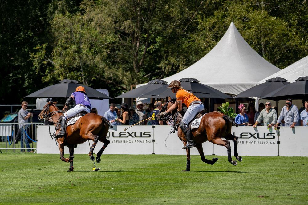 Two polo players on galloping horses pursuing ball during tournament match.