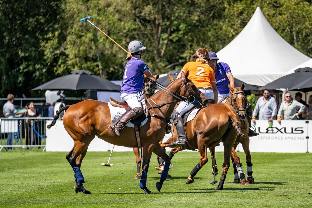 Polo players on horseback competing during a match with white tents and Lexus branding visible in background.