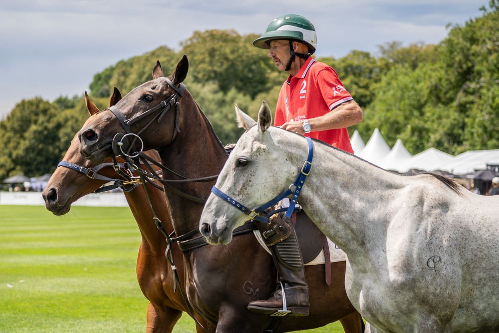 A brown and a white horse on a polo field with riders in contrasting jerseys.