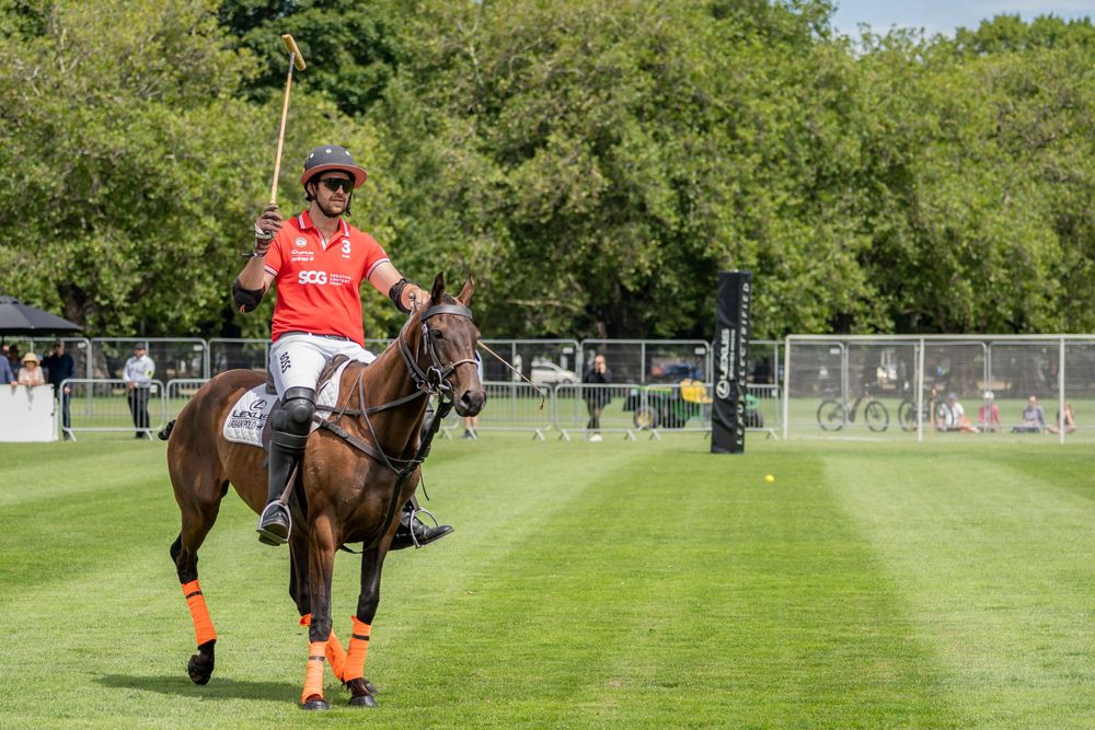 A polo horse and rider galloping across a pristine green field during a match.