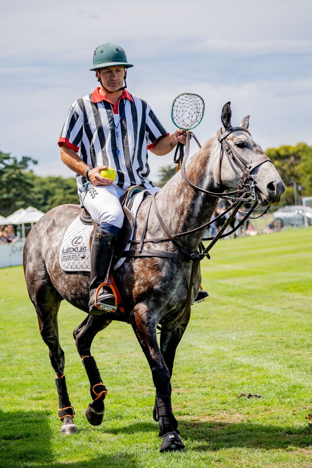 A dappled grey polo horse with rider in striped referee uniform on sunny grass field.