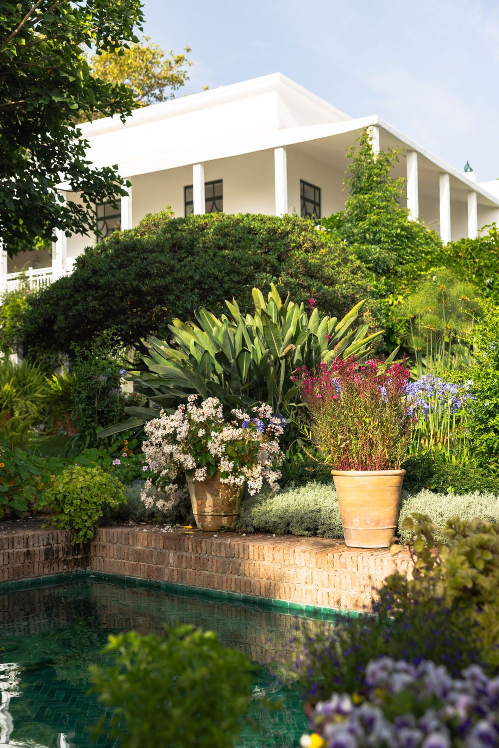 Luxurious garden pool surrounded by lush greenery, flowering plants, and a white columned villa.