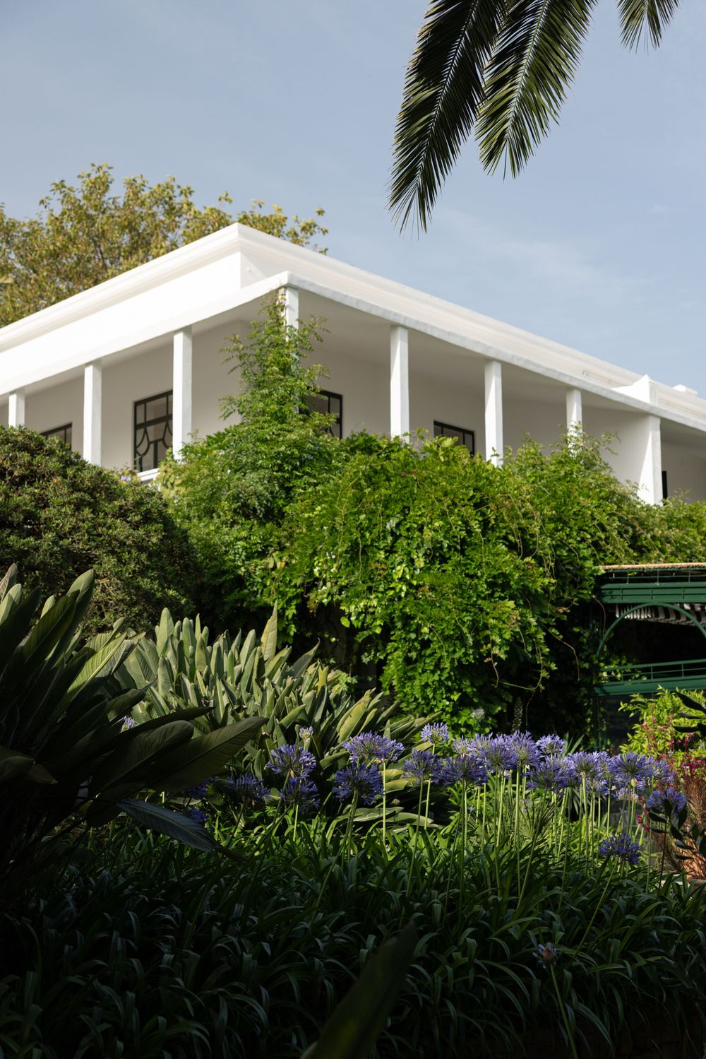 Modern white villa with columned porch surrounded by lush Mediterranean garden and palm trees.