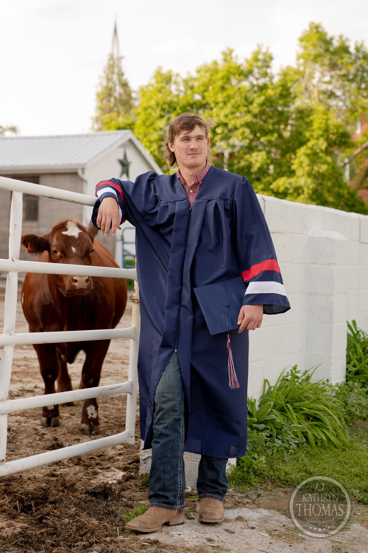 Person in graduation gown stands by a barn fence with cattle visible in background.