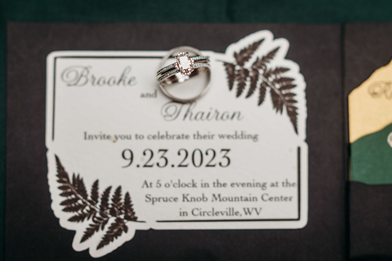 Wedding at Spruce Knob Wilderness Center