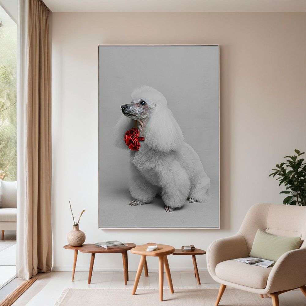 Pet photography DC
