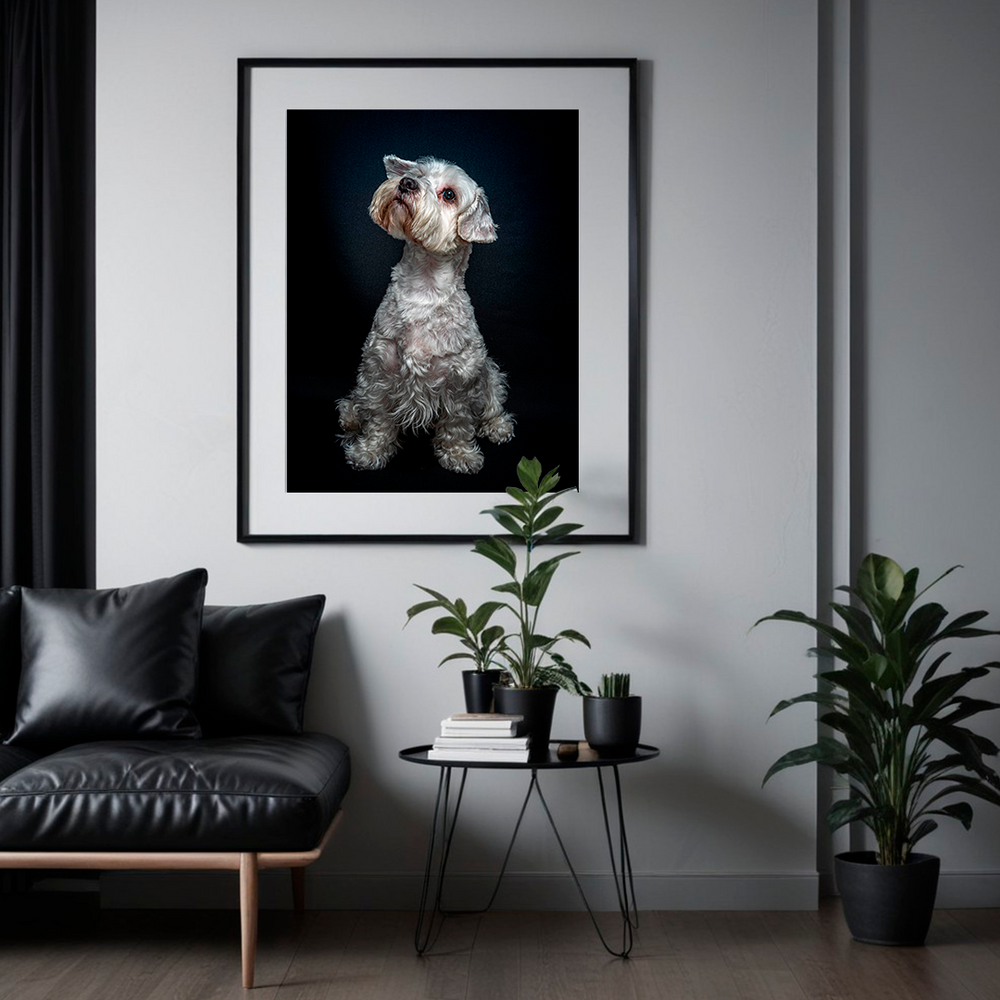 Pet photography DC