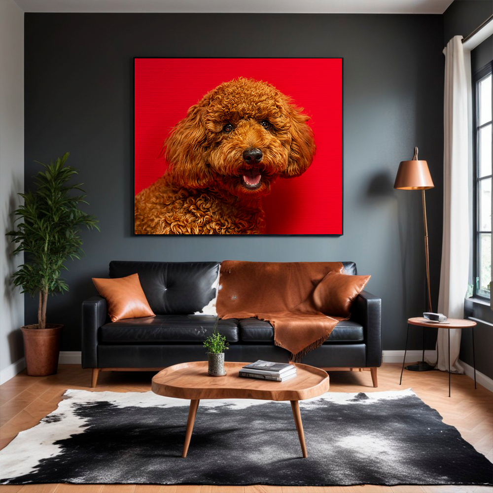 Pet photography DC