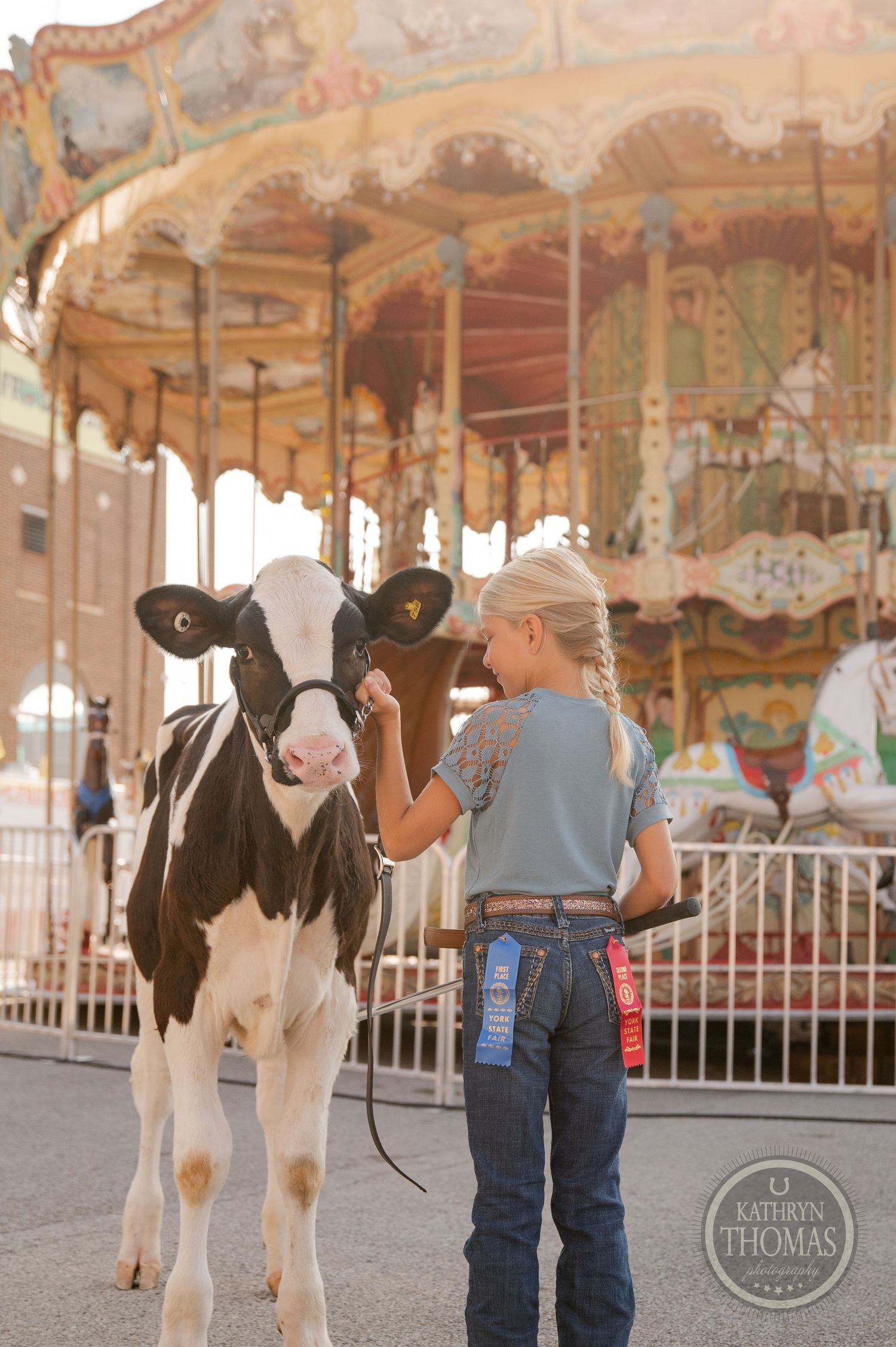 A Holstein dairy cow stands next to a vintage carousel at a county fair.