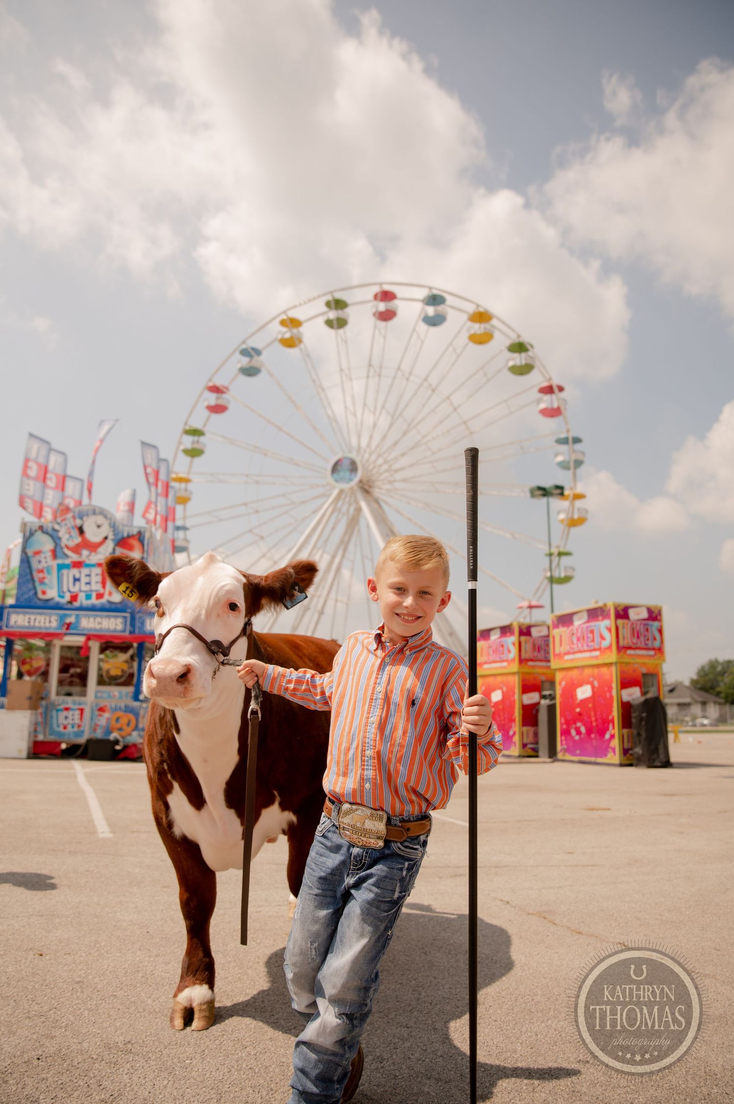 Young exhibitor poses with brown and white show calf at carnival fairgrounds.