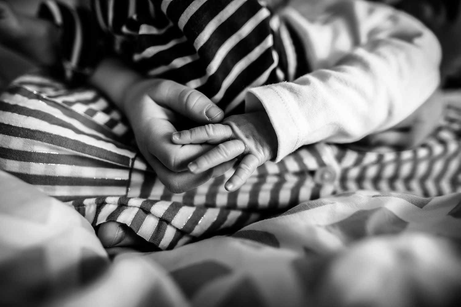 Ann Arbor Newborn Photographer