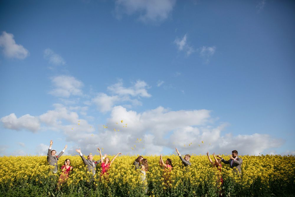 wedding party standing in a yellow canola field, throwing the flowers in the air while the couple kiss, Ceres, Victoria
