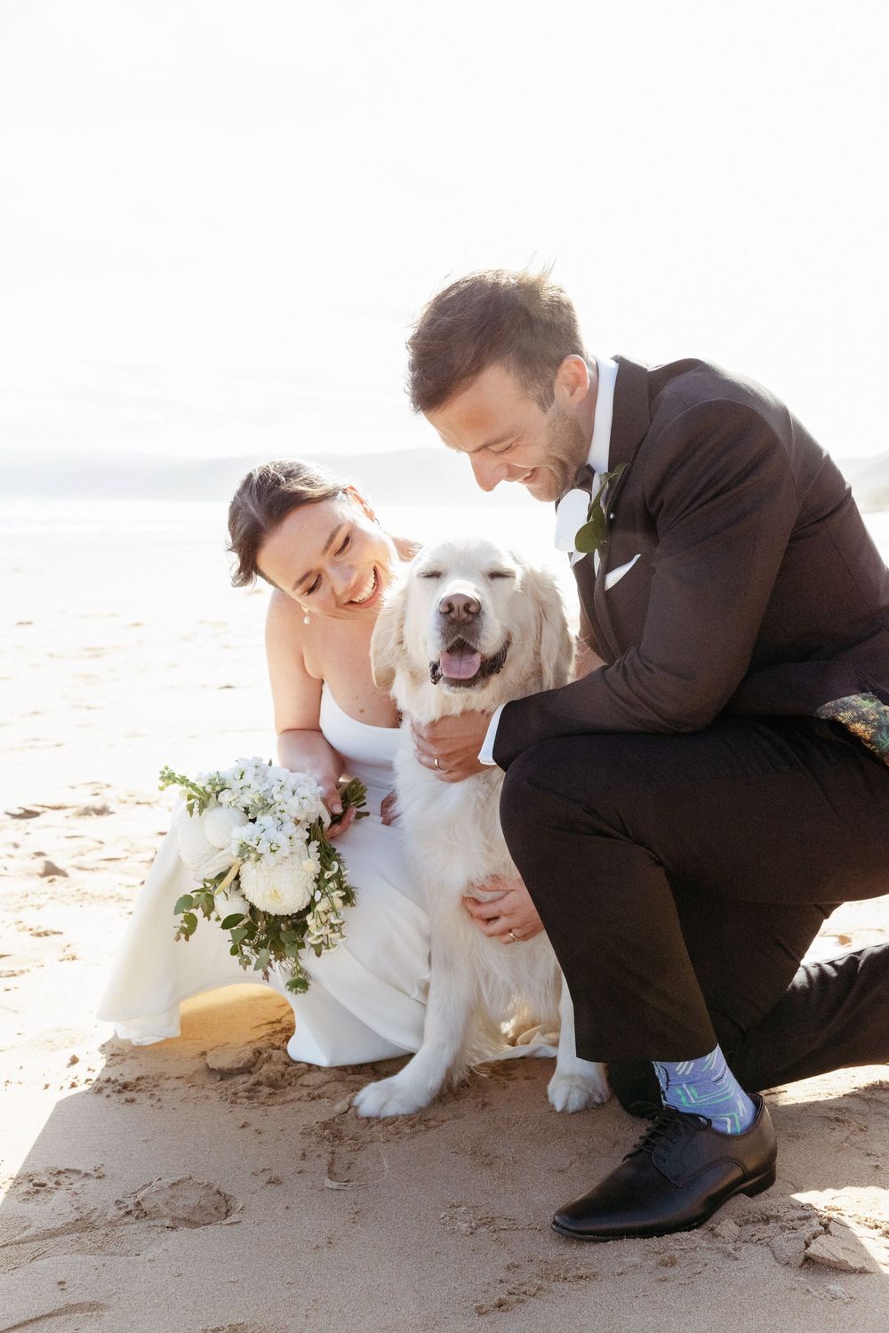 A couple in wedding attire shares a joyful moment with their white dog on a sunny beach.