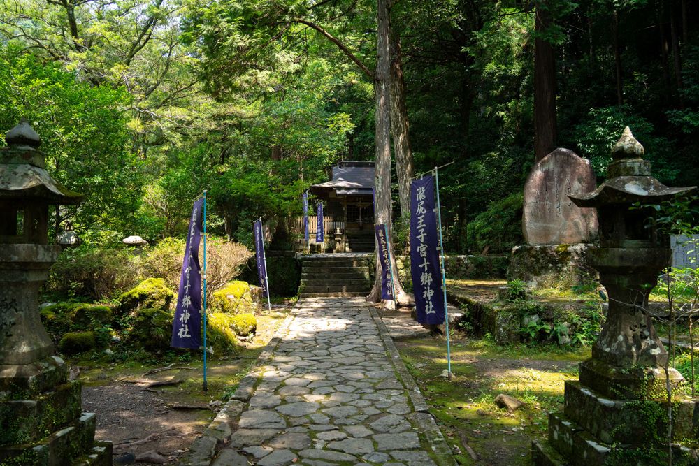 Stone pathway through a peaceful Japanese garden with lush green foliage.
