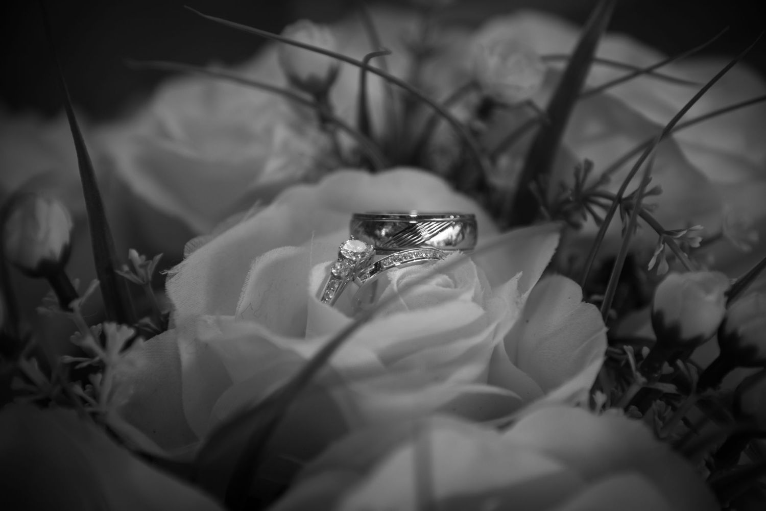 Diamond engagement ring nestled among white roses in black and white photography.