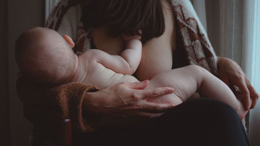 Vancouver Family and Motherhood Photographer offering candid, natural photos for capturing breastfeeding indoors or outdoors.