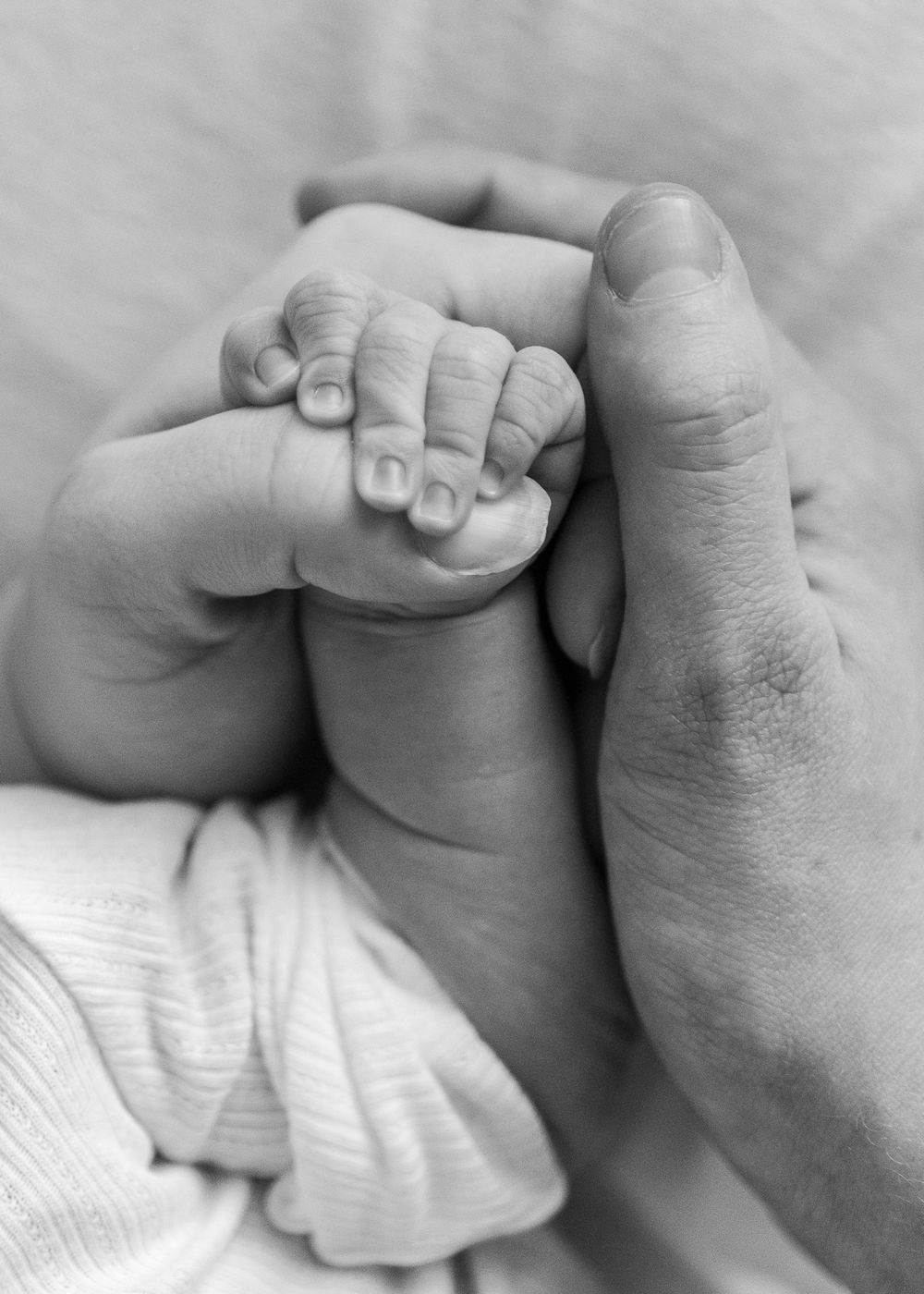 ungbarna myndataka, ungbarna ljósmyndir