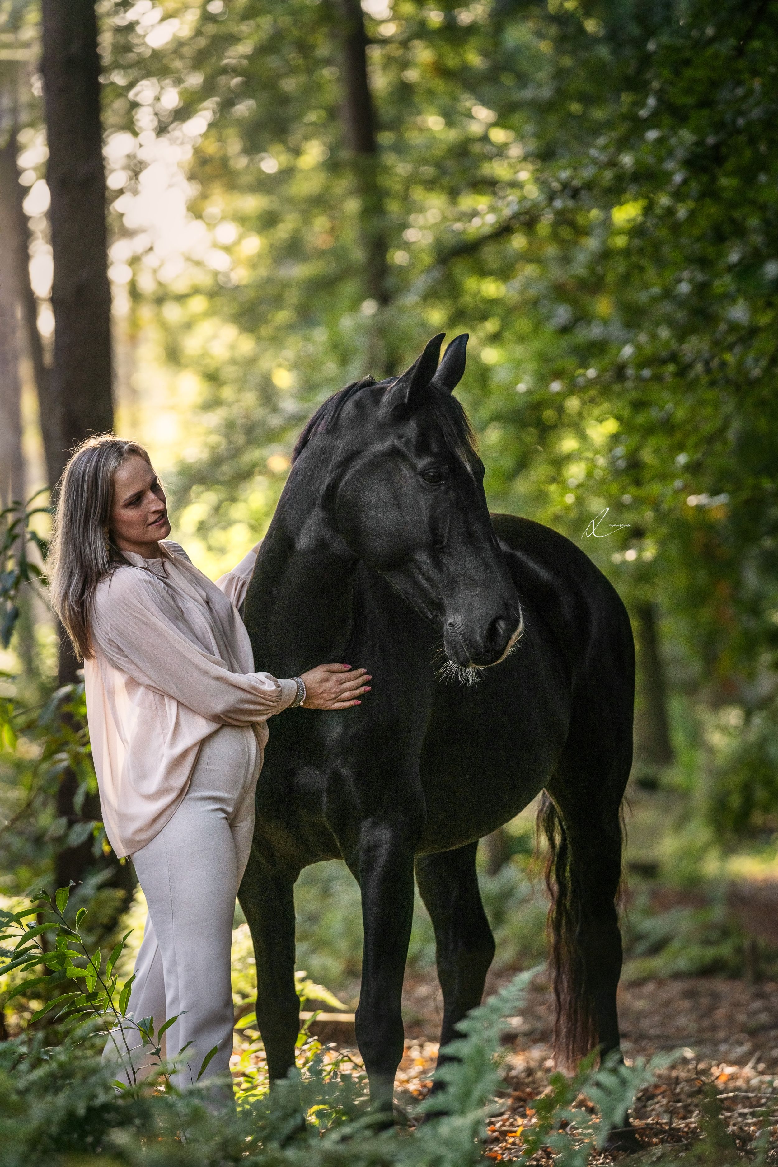 Majestic black horse standing with companion in sunlit forest setting.