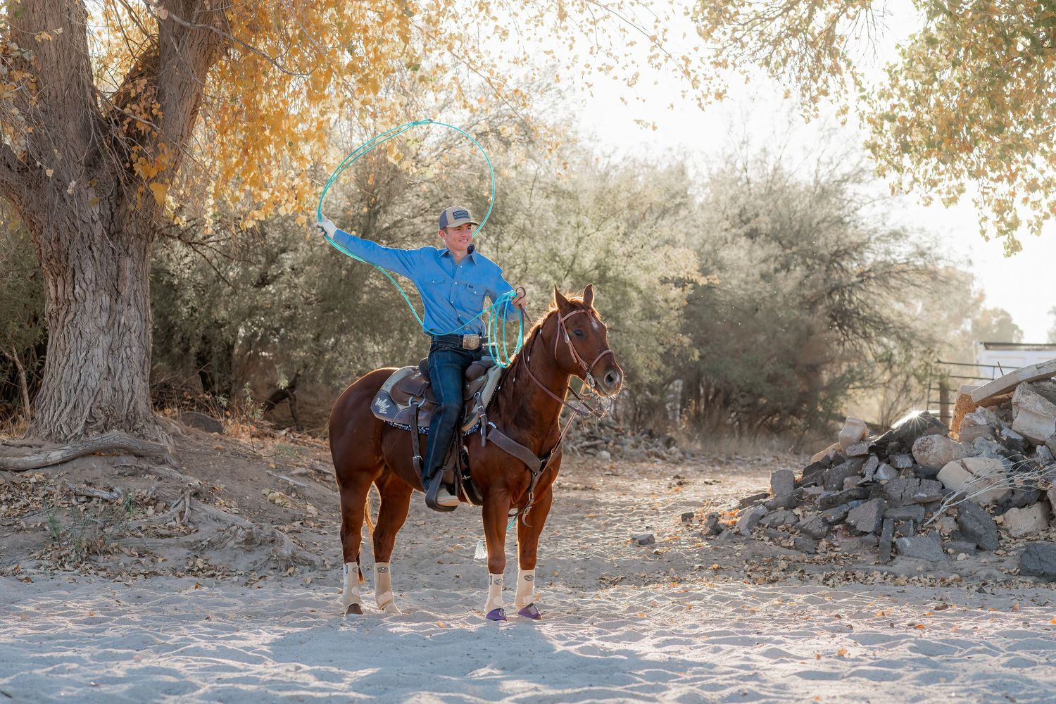 Horse stands patiently in desert setting near saguaro cactus and rocky terrain.