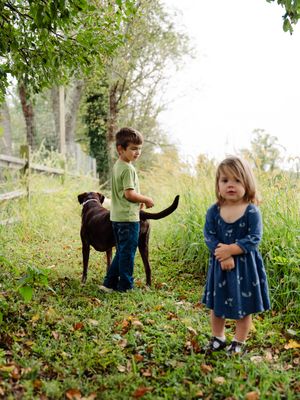 A series of four connected photos showing children playing and exploring on a grassy hillside in autumn.
