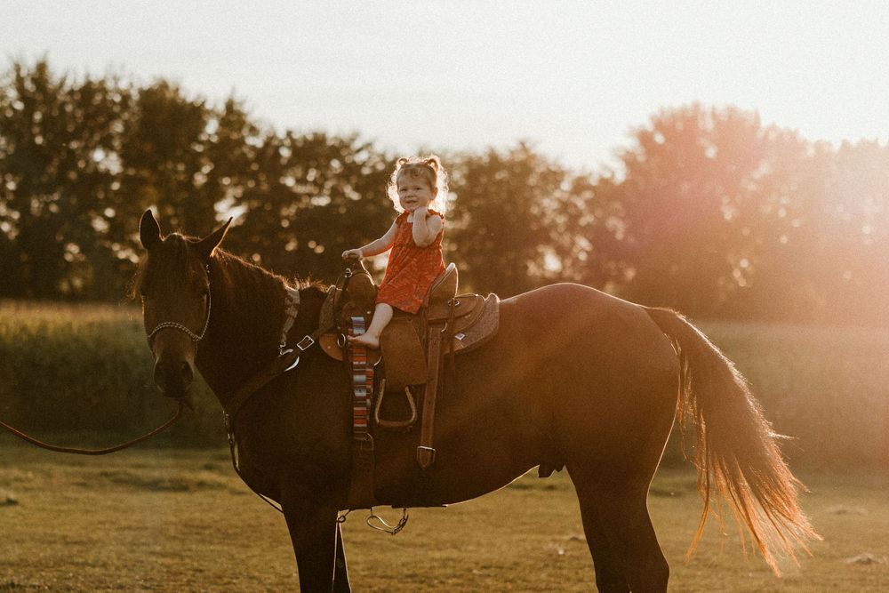 Small rider on horseback silhouetted against sunset sky.