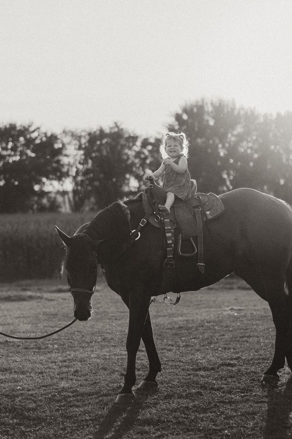 Black and white photo of horse and rider in evening field.