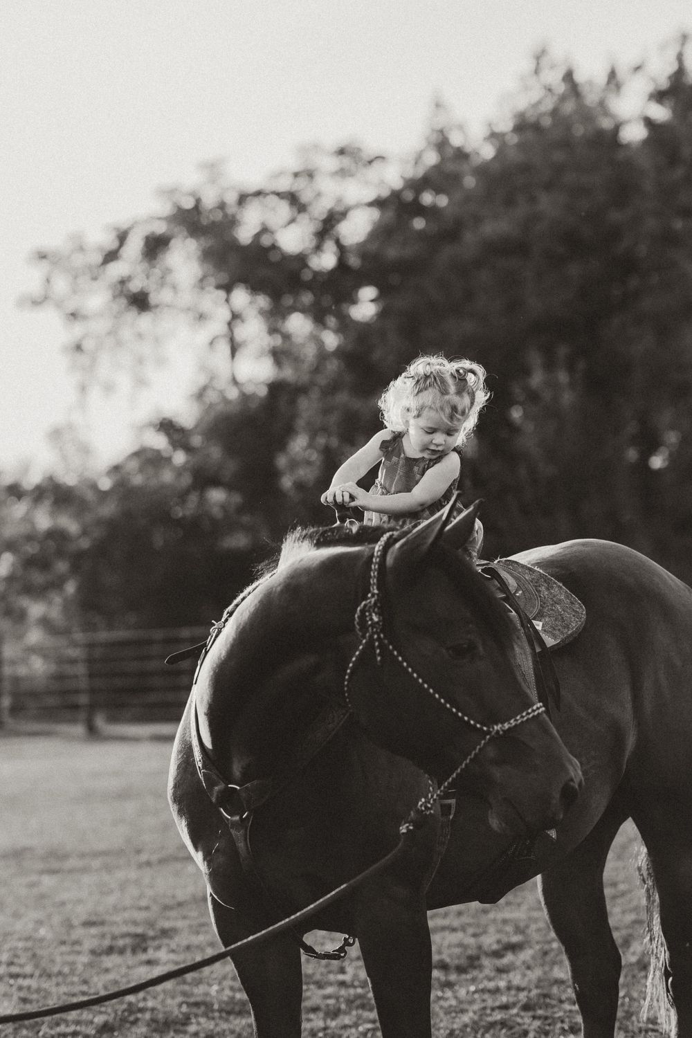 Black and white photo of a child riding a horse in a fenced paddock.