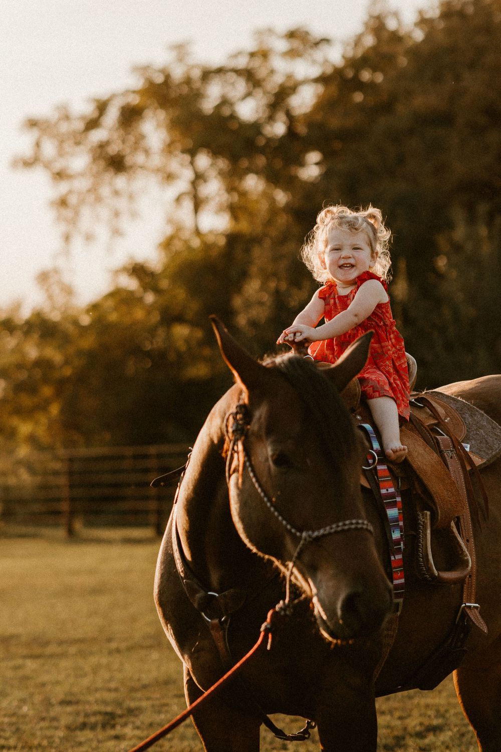 A joyful moment captured as a child rides a dark horse in warm sunset light.