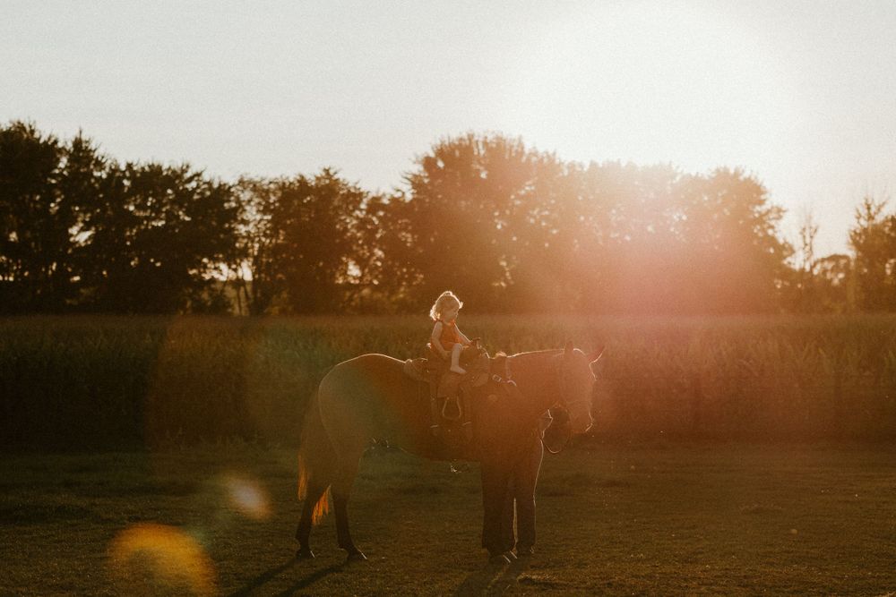 Silhouetted figures of a horse and rider against a golden sunset background.