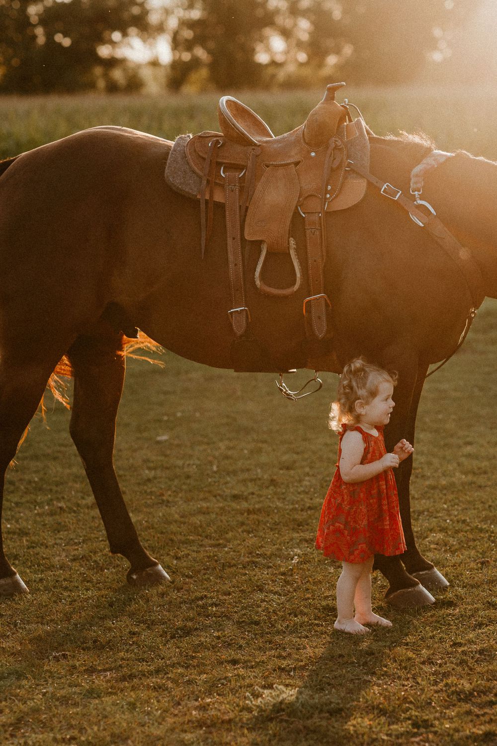 A small child in a red dress stands beside a saddled horse during sunset.