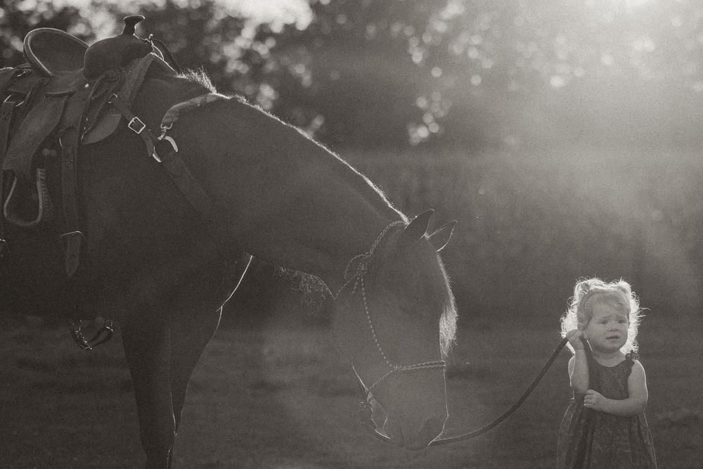 Black and white portrait of a horse and child in soft evening light.