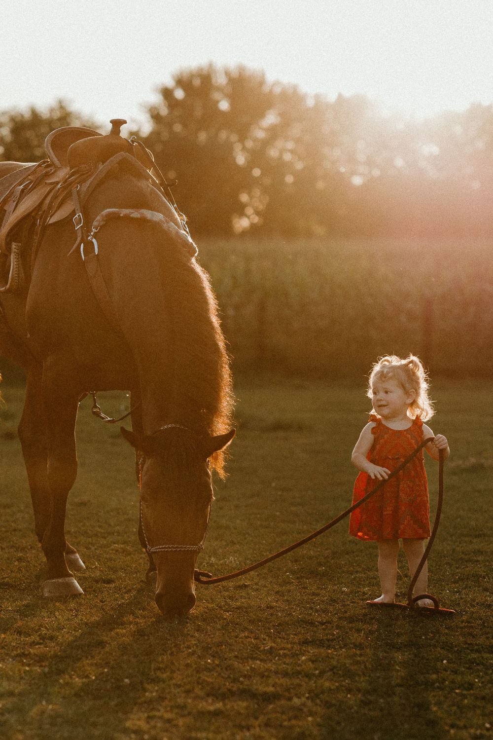 A gentle horse and small companion share a moment in golden sunset light.