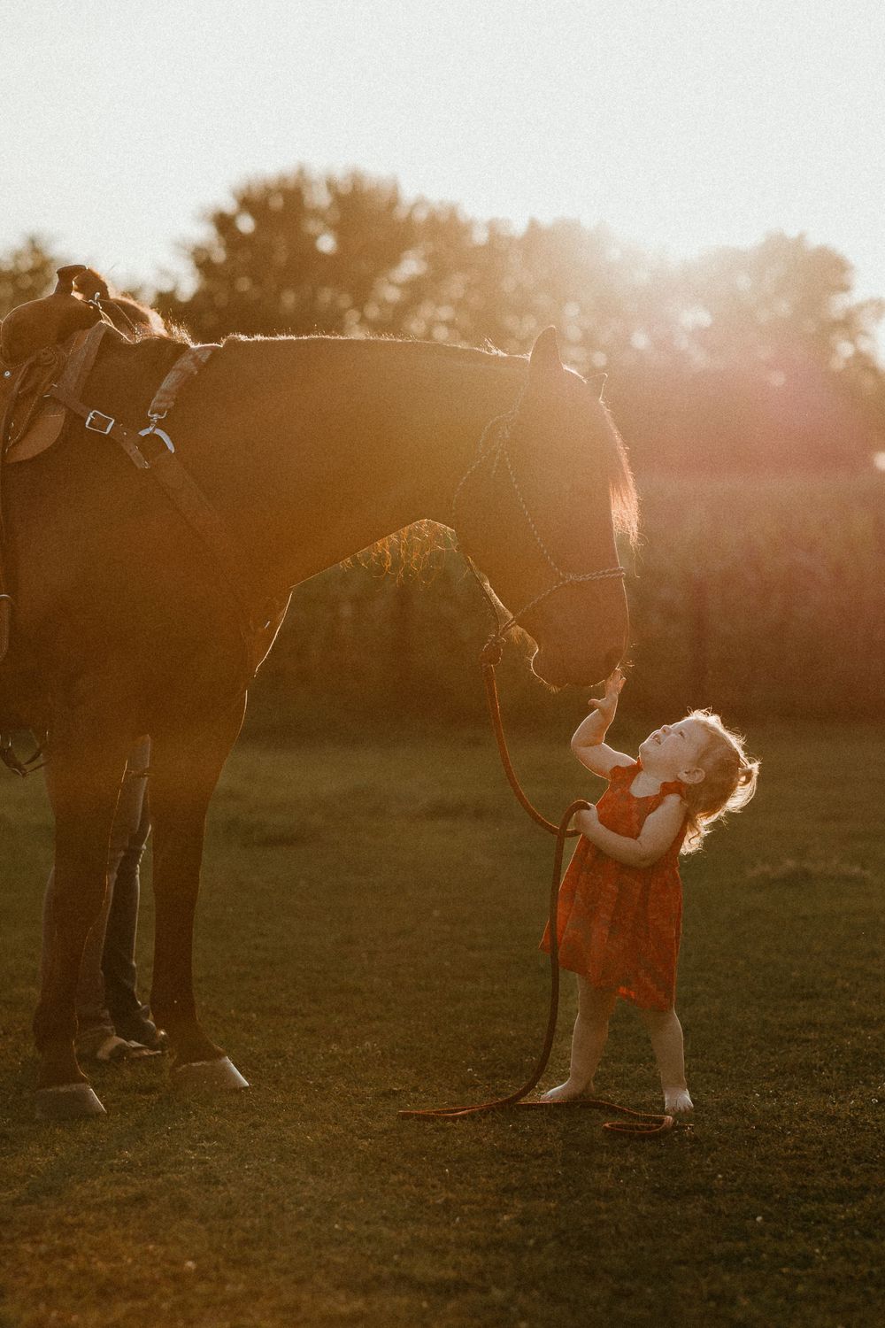 A heartwarming sunset moment between a child and horse in a field.