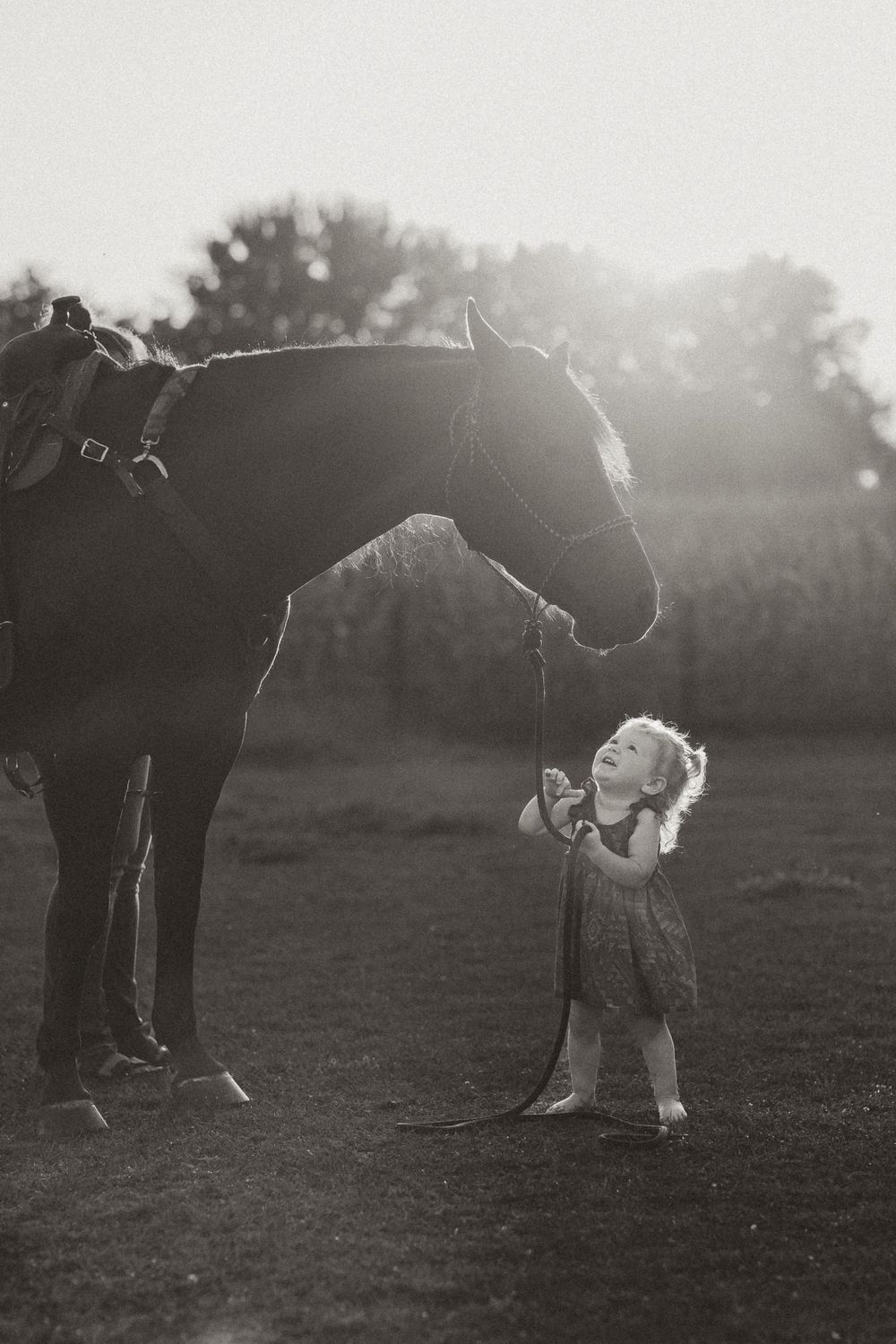 Black and white image of a child interacting with a gentle horse at dusk.